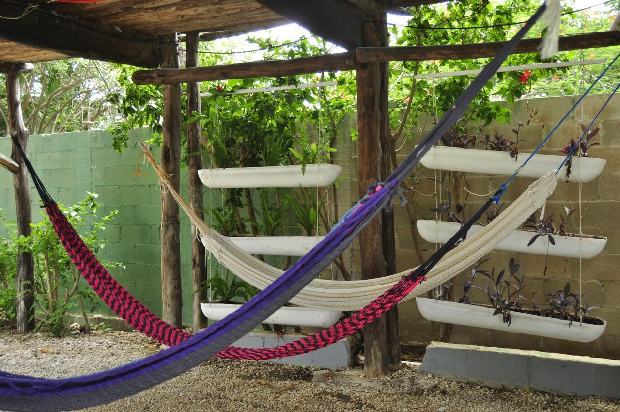 Lobo Inn Tulum Тулум Екстер'єр фото